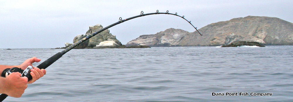 fishing tackle manufacturers