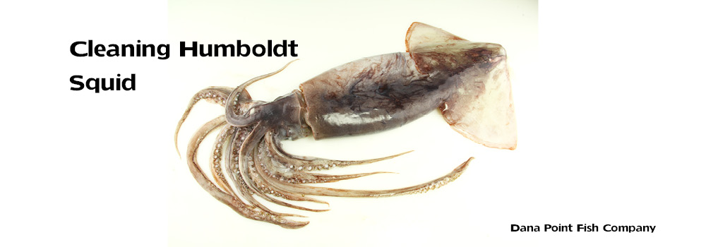 How to Clean Humboldt Squid