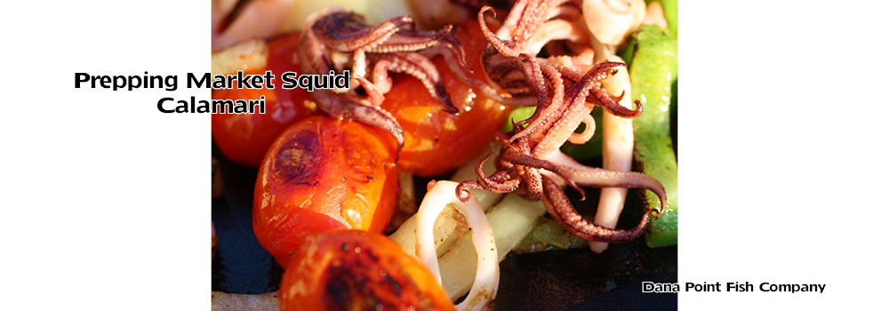 How to Prep Market Squid – Calamari