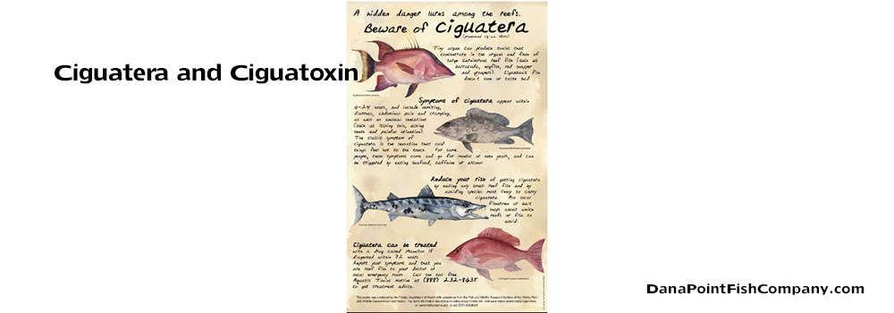Ciguatera and Ciguatoxin