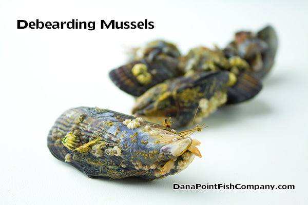 debearding-mussels