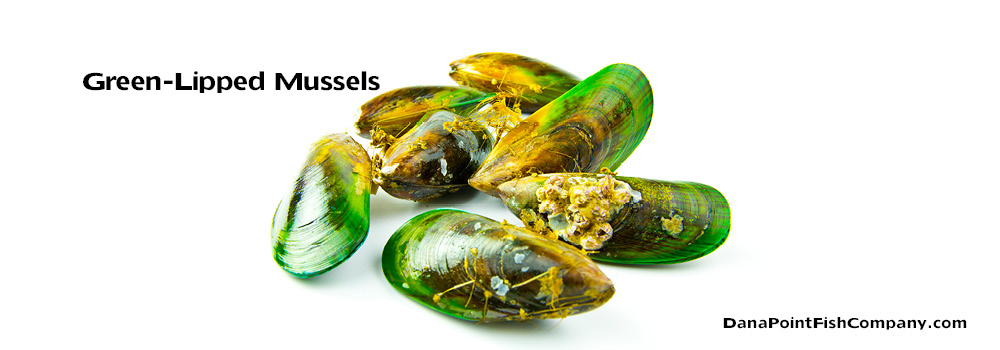 Green-Lipped Mussels – Perna canaliculus