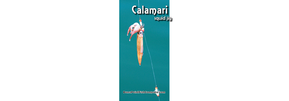 Calamari on Squid Jig