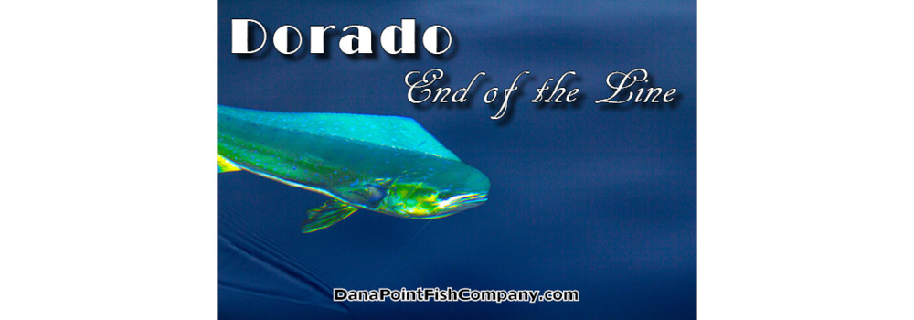 Dorado – End of the Line