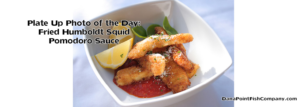 Humboldt Squid Steaks, Panko Crust, Pomodoro Sauce