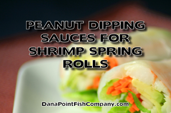 Peanut Dipping Sauces for Shrimp Spring Rolls