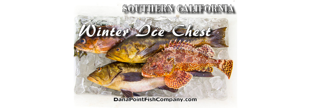 Southern California Winter Ice Chest