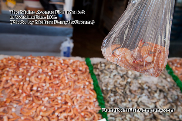 Seafood Fraud: Report from Oceana.org 30% of Shrimp Mislabeled