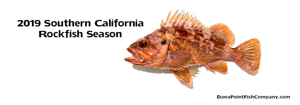 2019 California Rockfish Fishing Regulations for Southern